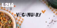 Veganuary - vegan - rouen