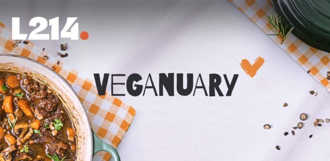 Veganuary - vegan - rouen