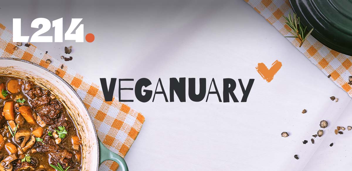 Veganuary - vegan - rouen
